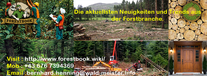 Instandhaltung des Waldes
